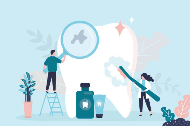 Cleveland, FL  Holistic Dental Services Company